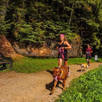 Foto: Andris Jermuts