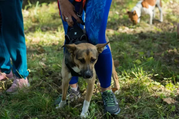Foto: Agnese Vēze